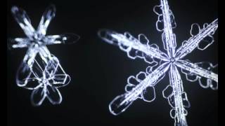 Sixsided snowflakes bloom in slow motion [upl. by Giardap]