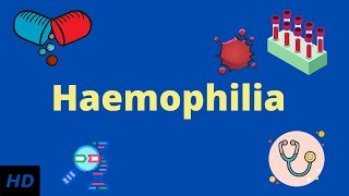 Haemophilia Causes SIgns and Symptoms Diagnosis and Treatment [upl. by Nylrem]