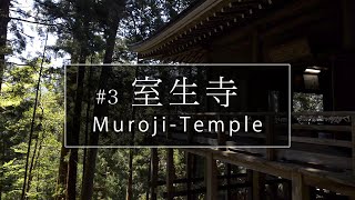 室生寺編「第３話」｜奈良観光コンシェルジュが宇陀市のお寺をご紹介：MurojiTemple in Uda City｜Nara [upl. by Borer975]