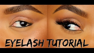 How To Apply False Eyelashes amp Individual Lashes  Ellarie [upl. by Trenna498]