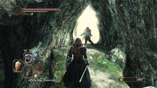 Dark Souls 2  How To Unpetrify Statues [upl. by Nnyllatsyrc]