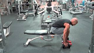 Seated Dumbbell Rear Delt Raise [upl. by Dahlia]