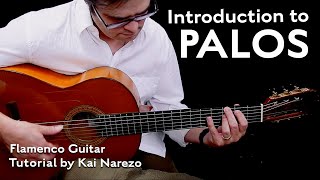 Introduction to Palos  Flamenco Guitar Tutorial by Kai Narezo [upl. by Adnoraj]