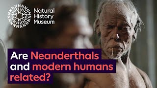 Are Neanderthals and modern humans related [upl. by Nitsuj281]