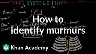 How to identify murmurs  Circulatory System and Disease  NCLEXRN  Khan Academy [upl. by Arem]