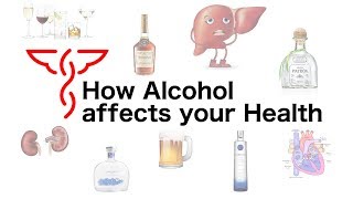 How Alcohol affects your Health [upl. by Britte194]