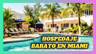 10 HOTELES MÁS BARATOS DE MIAMI [upl. by Ttcos]