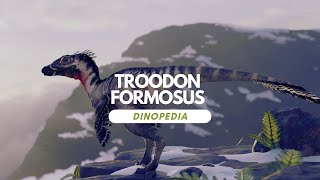 Dinopedia  Troodon formosus [upl. by Biebel170]