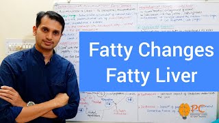 Intracellular Accumulation Part 2 Fatty Changes  Fatty Liver Pathophysiology [upl. by Fernandes32]