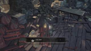 Dark Souls III  Profaned Capital 不死の遺骨、Undead Bone Shard [upl. by Yelekalb286]