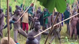 Brutal traditions of the surma Tribes Ethiopia [upl. by Mathews]