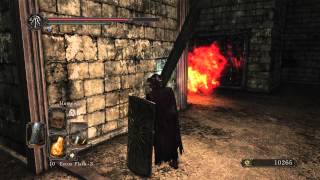 DARK SOULS 2 Scholar of the first Brume Tower Petrified Dragon Bone x8 location [upl. by Domella]